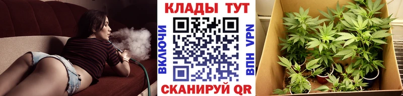 Виды наркоты Нефтеюганск АМФ Каннабис МЕФ Псилоцибиновые грибы ГАШ