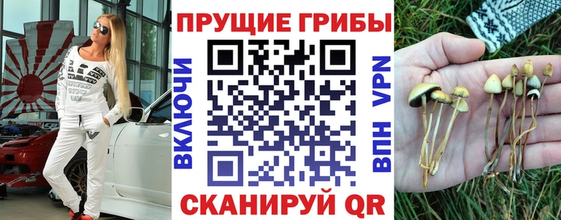 Галлюциногенные грибы прущие грибы Нефтеюганск