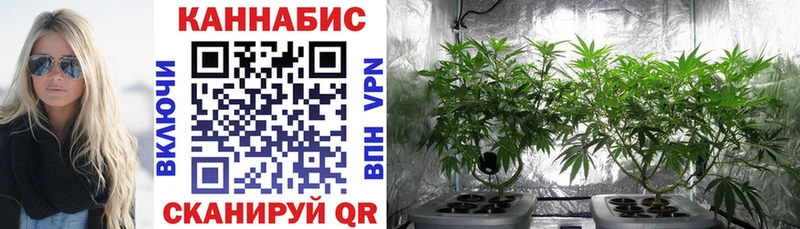 МАРИХУАНА LSD WEED  ОМГ ОМГ вход  Нефтеюганск 